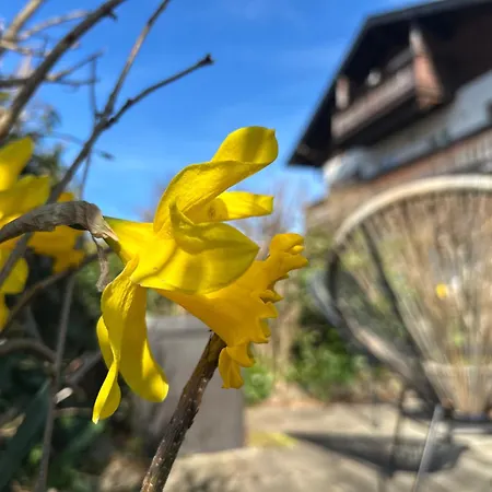 Wohnen & Bergblick Apartman Lindau