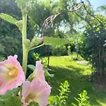 Apartamento Wohnen & Bergblick *