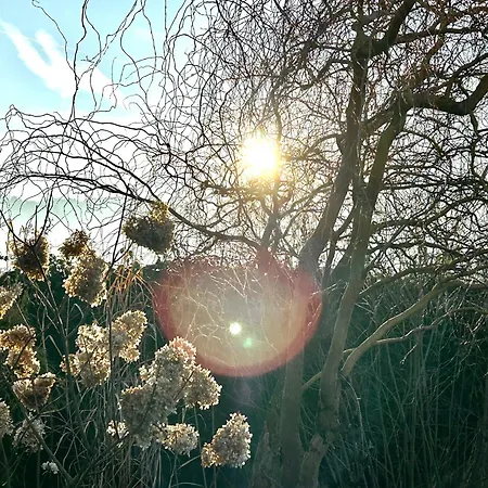 Wohnen & Bergblick *