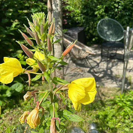 Wohnen & Bergblick * Lindau (Bodensee)