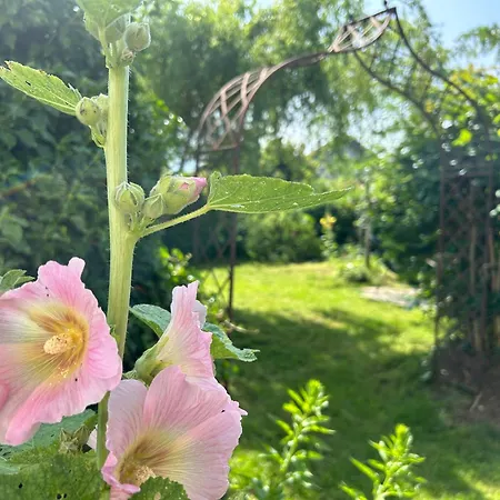 Appartement Wohnen & Bergblick *